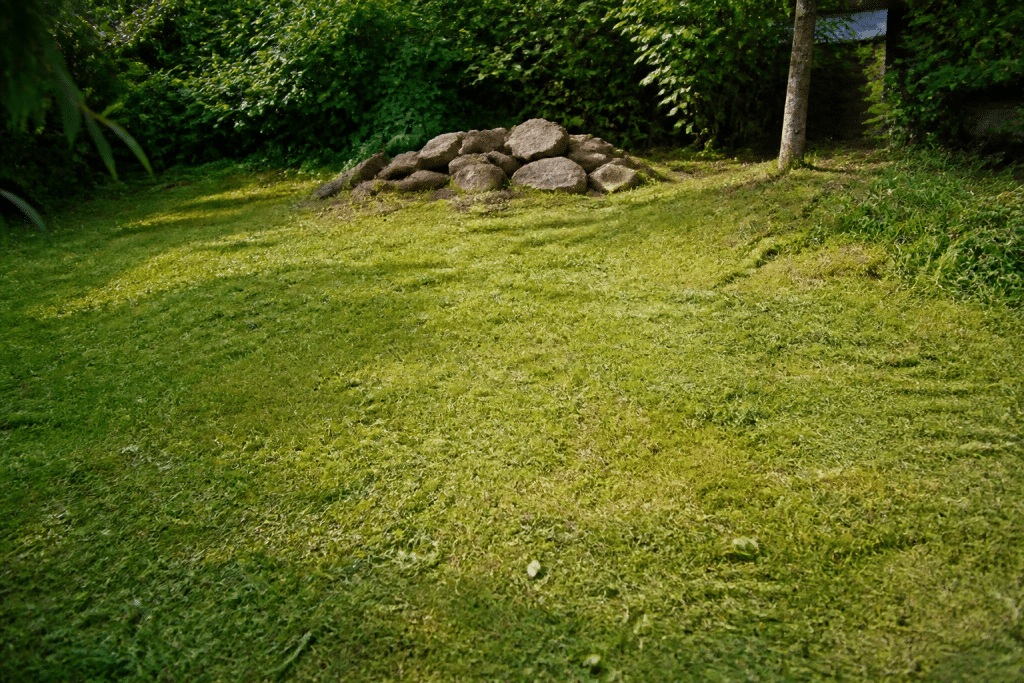 Jardin désherbe avec tas pierres enleves et herbe coupee courte