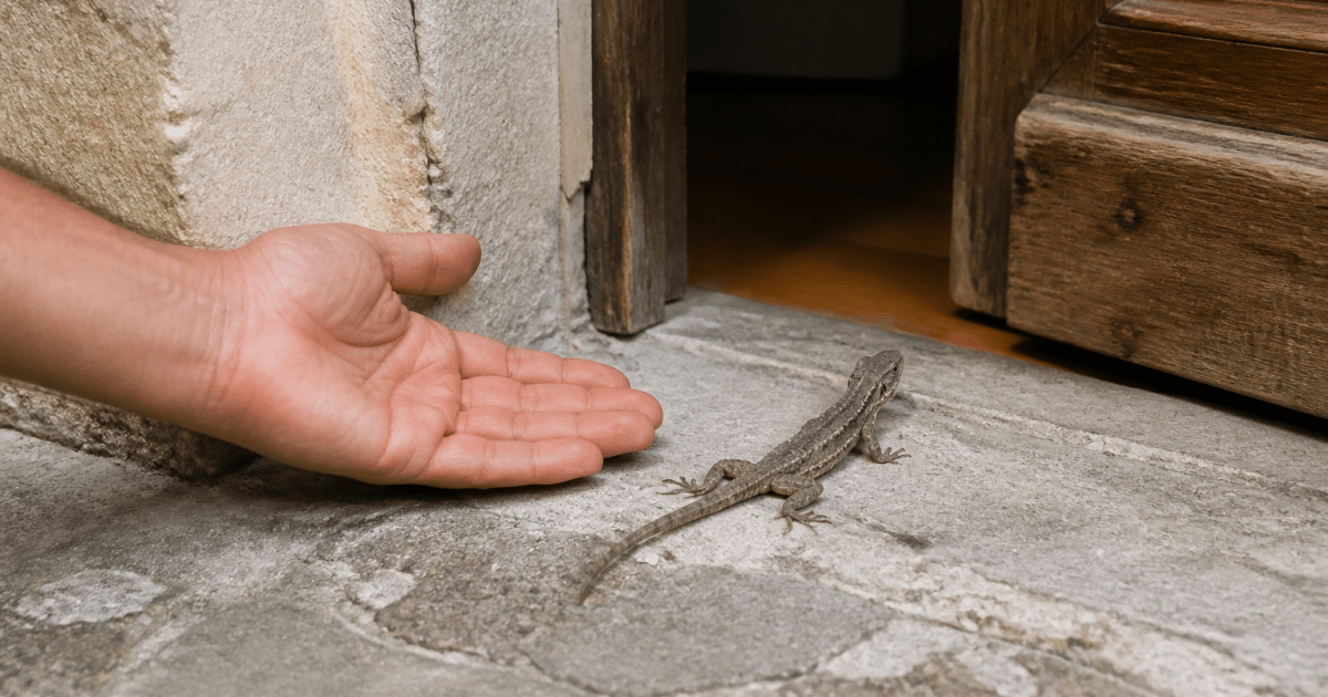Main ouverte guidant lezard gris vers porte entrouverte